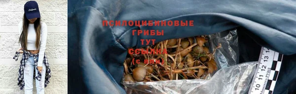 spice Богданович