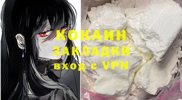 spice Богданович