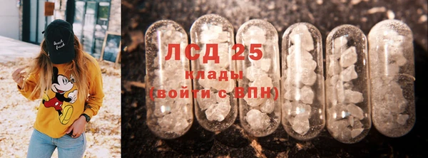 spice Богданович