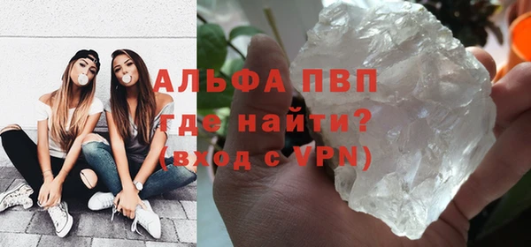 spice Богданович