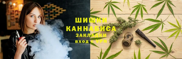 PSILOCYBIN Богородск